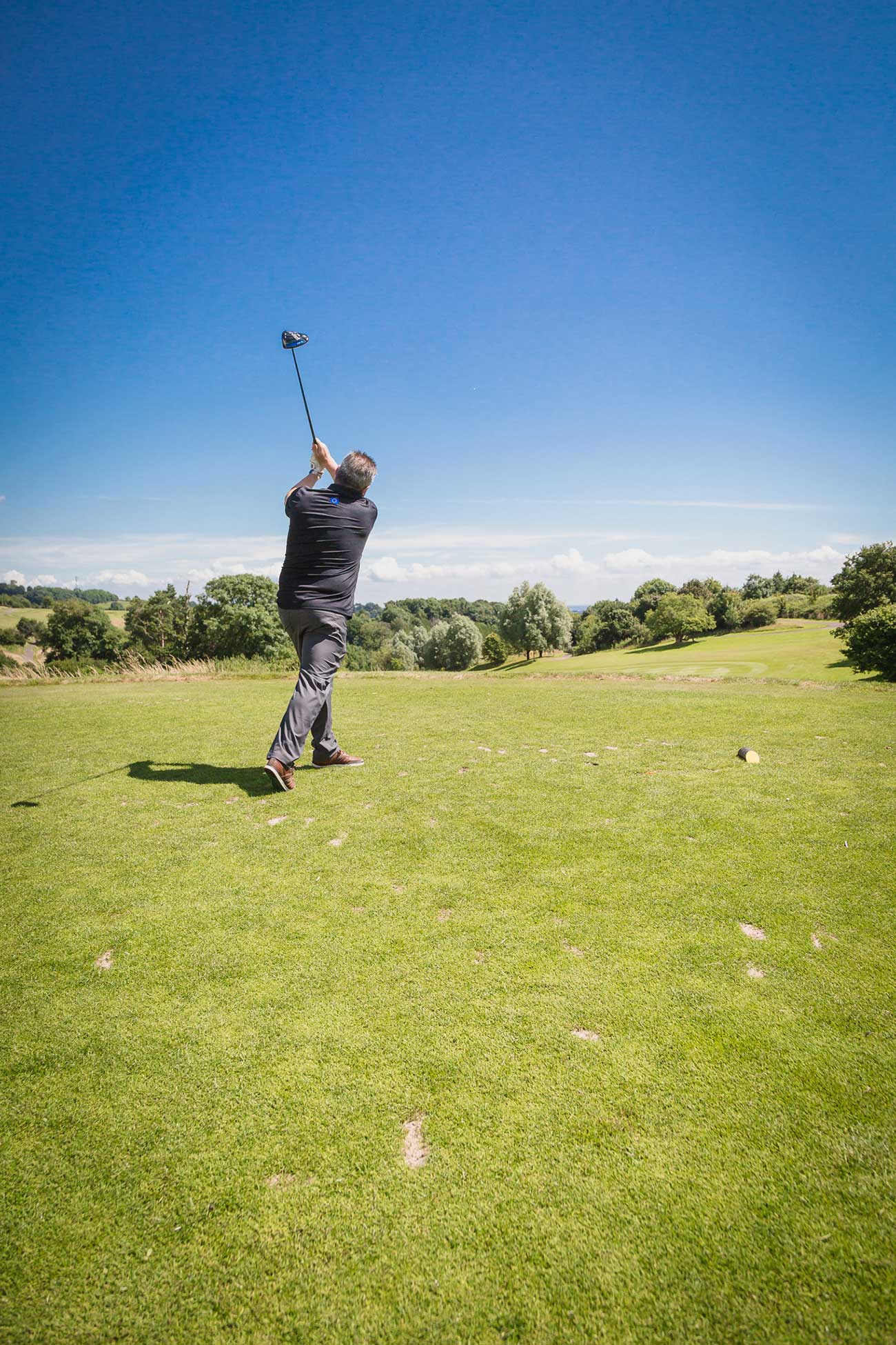 5 opportunities helping UK businesses get to net zero