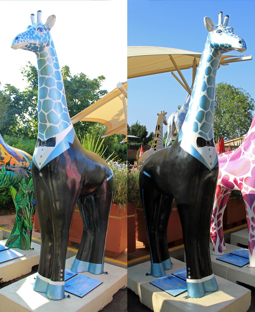 Why use an energy consultant?